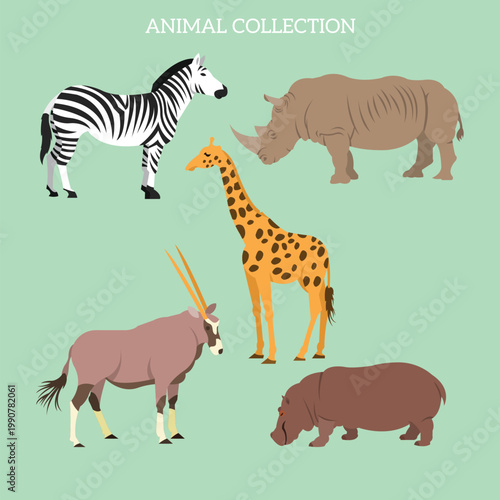A collection of different animals