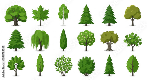 A diverse collection of illustrated tree and plant species, showcasing nature's botanical variety and arboreal beauty