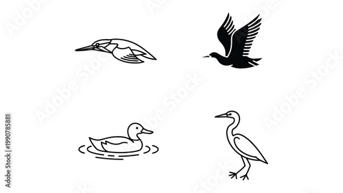 Bird Silhouettes in Action: An artistic depiction of diverse bird species, each captured mid-action, showcasing the elegance of flight and the serenity of rest.
