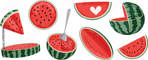vector illustration of watermelon