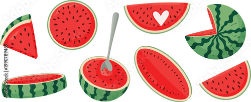 watermelon vector illustration