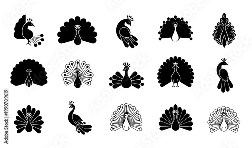 Modern Minimalist Black Peacock Feather Patterns Vector Set for Designers