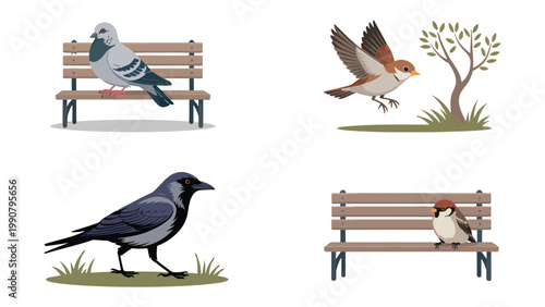 Avian Assembly: Illustration depicting a collection of avian species featuring pigeon, sparrow, and crow on benches, evoking a sense of tranquil coexistence in an outdoor setting.