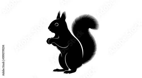 A cute fluffy brown squirrel with a large tail sits on a white background eating a small nut in this funny wildlife animal portrait