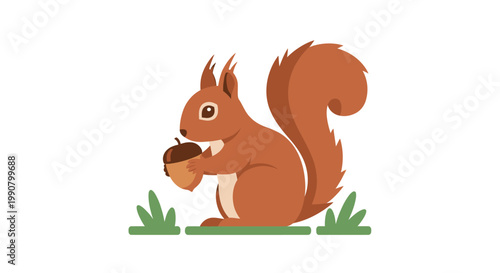A cute cartoon red squirrel holding an acorn while standing on green grass with a white background.