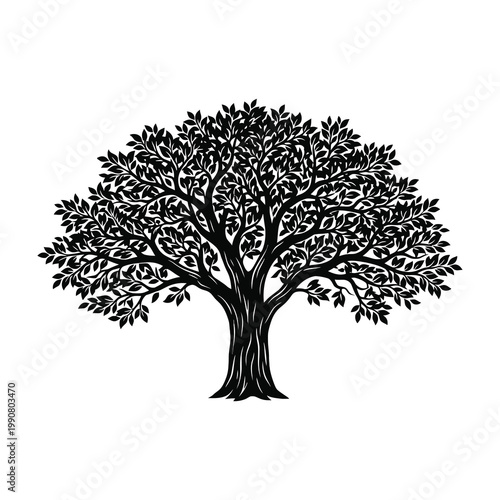 Tree silhouette on white background