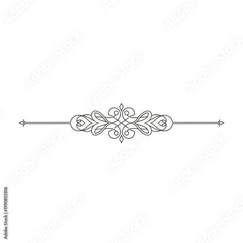 Elegant Vintage Ornate Divider Flourish Design