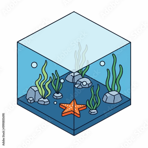 Aquarium with Starfish and Seaweed Illustration.