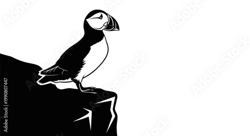 A puffin standing on a rocky cliff.