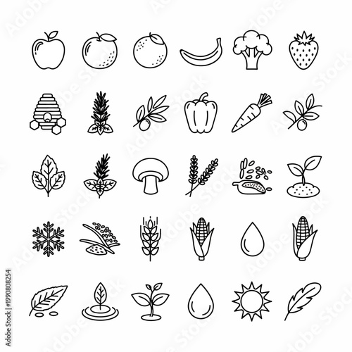 Collection of Fresh Healthy Food Icons Representing Fruits Vegetables Grains and Plants in a Clean Line Art Style