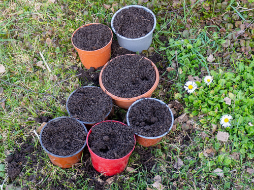 Several flower pots filled with fresh dark soil placed outdoors on green grass in a garden, ready for planting seeds or seedlings in spring. Gardening preparation concept with small plastic pots