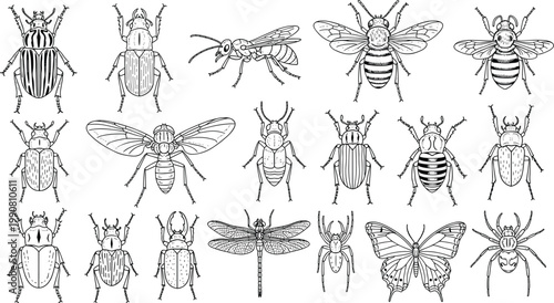 Insect Icon Set Featuring Detailed Beetles, Bees, Dragonflies, and Butterflies in Black and White