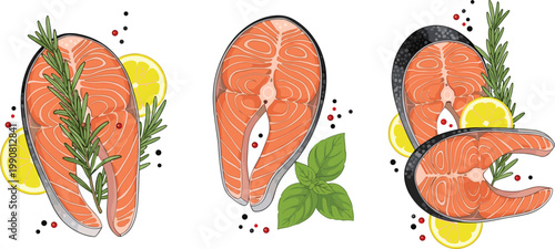 Realistic Fresh Salmon Steak Vector Set with Rosemary Lemon Basil and Pepper Spices for Seafood Restaurant and Healthy Food Design