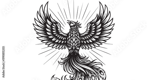 Phoenix bird, mythical creature, black and white illustration, vector graphic