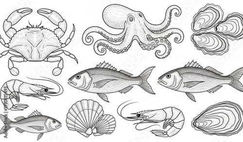 Seafood circle composition with crab octopus fish oysters and shrimp for restaurant branding design