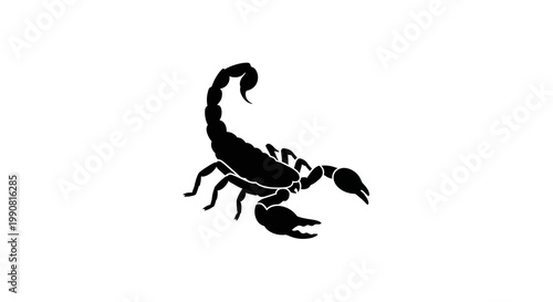 Black Scorpion Silhouette on White Background