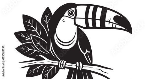 Toucan bird, black and white vector, tropical illustration, wildlife graphic