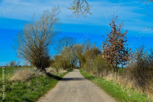 Feldweg im April in Mecklenburg-Vorpommern in Steinhausen-Neuburg