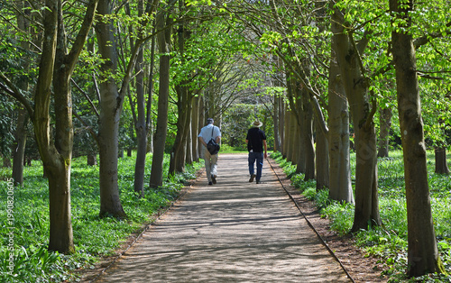 Obraz na plátně Two People walking though avenue of trees