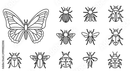 Detailed line art vector icons set of various insects and bugs including butterfly, beetle, and bee, isolated on white.