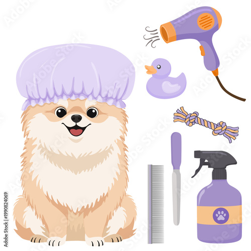Pomeranian dog grooming set with cute puppy in shower cap hair dryer and professional hygiene accessories on a transparent background