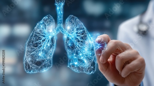 Medical illustration of human lungs
