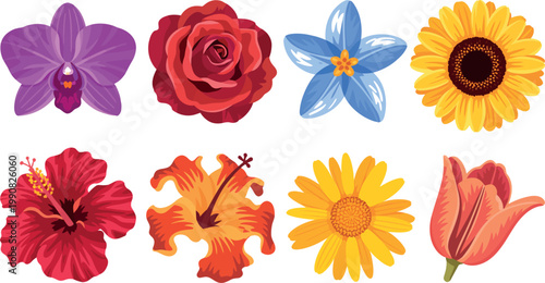 Collection of various colorful flowers on white background  orchids roses sunflowers