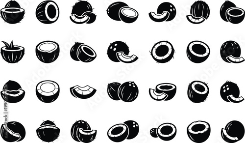 Collection of assorted coconuts in cartoonish flat style illustrations