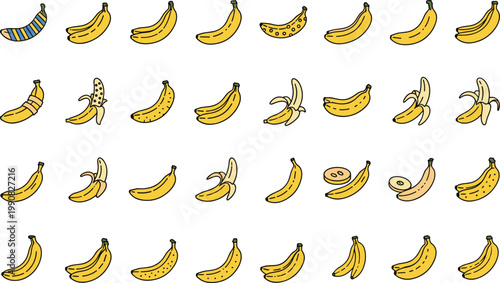Collection of assorted fresh bananas depicted in cartoonish flat style illustrations
