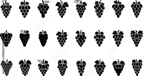 Collection of various black grape icons isolated on white background, design element