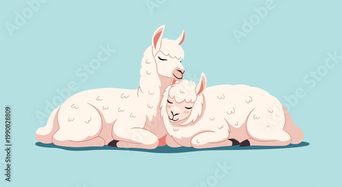 Pair of fluffy white llamas sleeping peacefully next to each other against a light blue background representing calm nature.