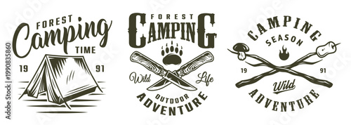 Camping in the forest