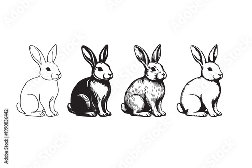 vector illustration of rabbits