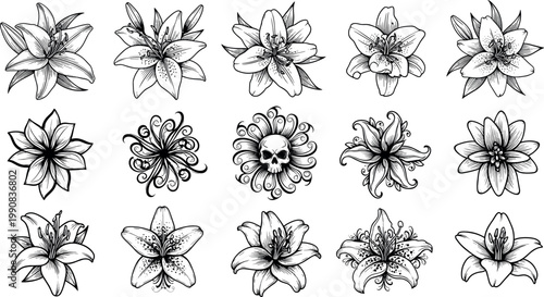 Hand Drawn Lily Flower Vector Icon Set with Skull Illustration and Gothic Floral Line Art for Tattoo Design, Apparel Print, and Dark Decorative Graphics