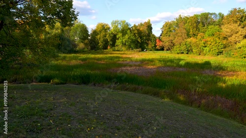 panorama of the park in autumn