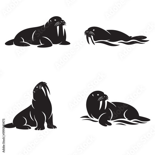 Four walrus silhouette icons showing lying submerged upright and reclining poses in simple black design