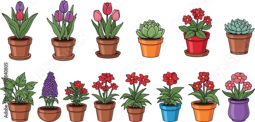 Potted Flower and Plant Collection Set with Colorful Indoor Garden Flowers and Succulents in Flat Cute Vector Illustration