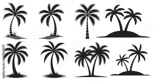Vector palm tree collection, black silhouette icons of exotic trees for summer backgrounds. vector illustration eps 10