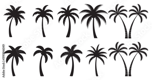 Palm tree vector pack, black silhouette icons of tropical plants for beach illustration. vector illustration eps 10