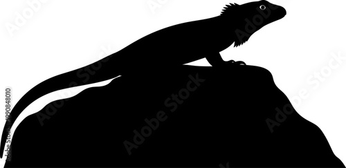 Iguana lizard silhouette standing on a jagged rock