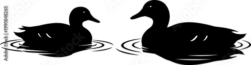 Pair of ducks floating on a pond silhouette