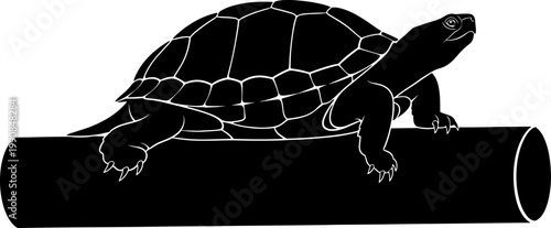 Pond turtle basking on a wooden log silhouette