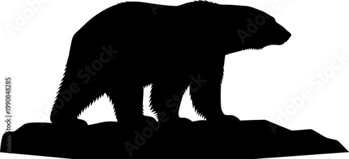 Polar bear silhouette standing on arctic ice ground profile