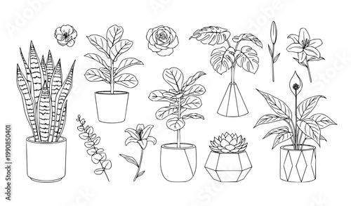 Flowers plants outline vector set interior design potted plant illustration