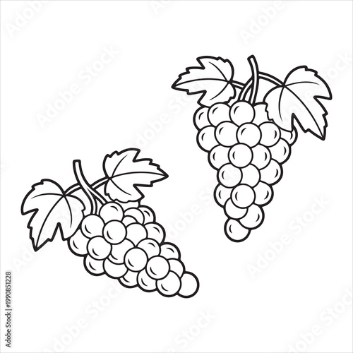 A drawing of two bunches of grapes