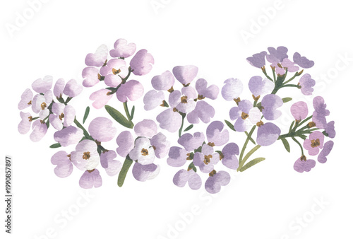 Dreamy lilac wildflowers blooming in airy pastel watercolor light.
