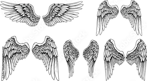 Intricate black and white wing vector illustration featuring detailed feather patterns in bird and angel inspired designs