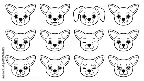 collection of animals