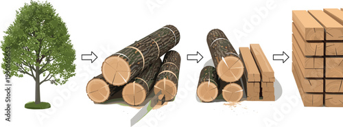 Tree to Timber Wood Processing Steps Infographic Lumber Production Process Vector Illustration Set