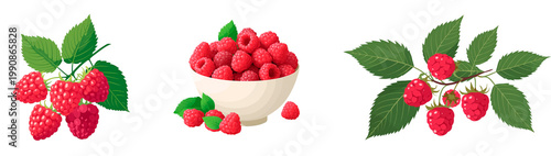 Ripe raspberries flat design illustration isolated on transparent background